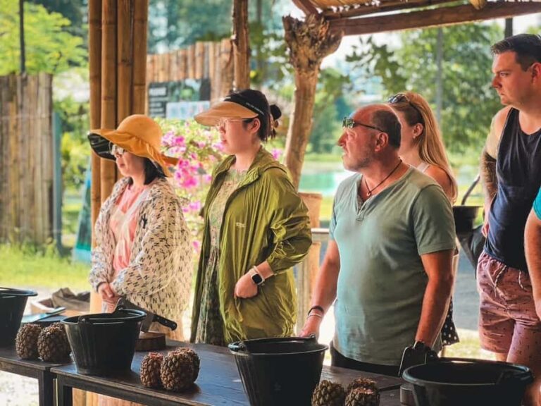 Phuket: Elephant Sanctuary Visit with Mud Spa & Workshop - The Itinerary Breakdown