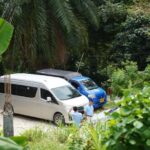 Phuket : Guided Tour to Elephant Sanctuary with Transfers - What Makes This Tour Stand Out?