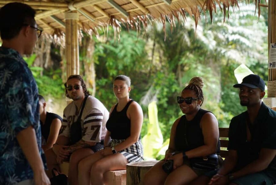 Phuket : Guided Tour to Elephant Sanctuary with Transfers - What to Expect from the Tour