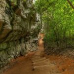 Phuket: Hong Island Krabi and Phang Nga By Premium Catamaran - What Makes This Tour Stand Out?