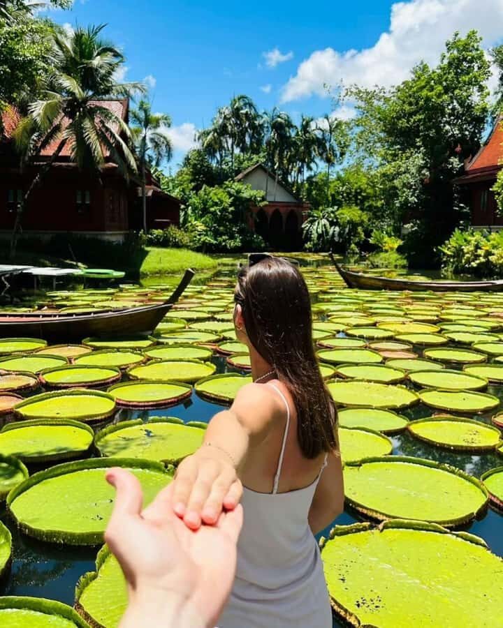 Phuket: Instagrammable Cafes Tour with Hotel Pickup - Authentic Experiences and Insights from Reviewers