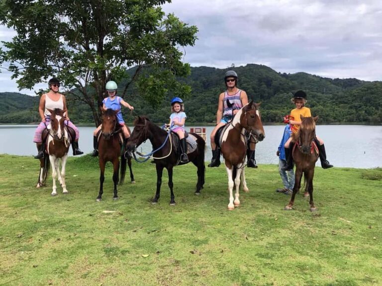 Phuket Jungle Horseback Ride with Scenic Forest Views - Why This Tour Offers Good Value