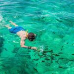Phuket: Khai Islands Half-Day Tour with Snorkeling - The Logistics: What to Expect
