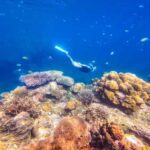 Phuket/Khao Lak: Surin Islands 3-Reef Snorkel Masterpiece - What Makes This Tour Stand Out?
