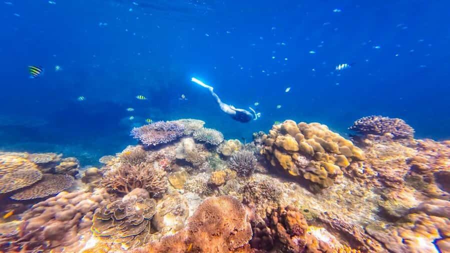 Phuket/Khao Lak: Surin Islands 3-Reef Snorkel Masterpiece - The Itinerary Breakdown