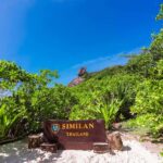 Phuket/Khaolak:Similan Islands day Trip by Luxury Speed boat - What Makes This Tour Stand Out