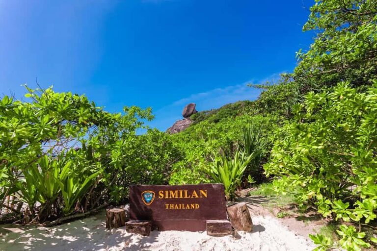Phuket/Khaolak:Similan Islands day Trip by Luxury Speed boat - What Makes This Tour Stand Out