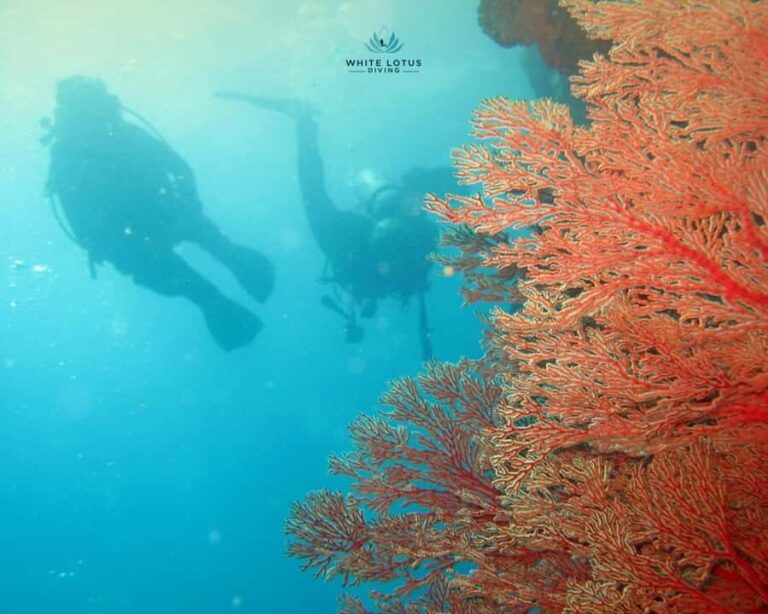 Phuket LGBTQ+ Friendly Scuba & Snorkeling Day Trip - What Makes This Experience Stand Out