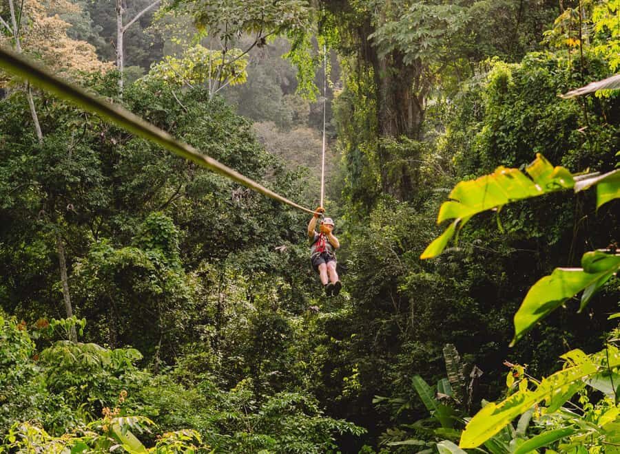 Phuket: Luge, Zipline, Skywalk & Adventure Combo Experience - What Travelers Are Saying