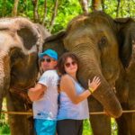 Phuket: Make & Meet The Gentle Giant Experience - What Reviewers Say