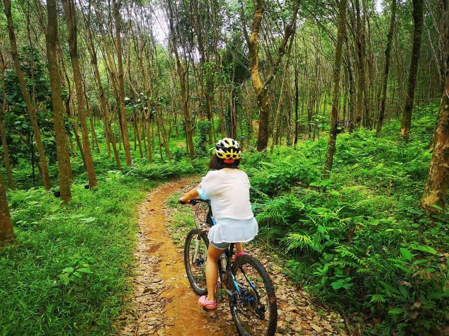 Phuket Mountain Bike Tour On Koh Yao Noi - Why This Tour Is Worth It