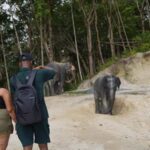 Phuket: Patong Elephant Sanctuary Observe & Learn Experience - What’s in the Itinerary?