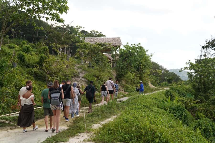 Phuket: Patong Highlights Elephant Sanctuary Tour - Walking with Elephants in the Forest