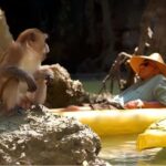 Phuket: Phang Nga,Hong & James Bond Islands by Big Boat - The Practical Details: Transportation and Group Dynamics