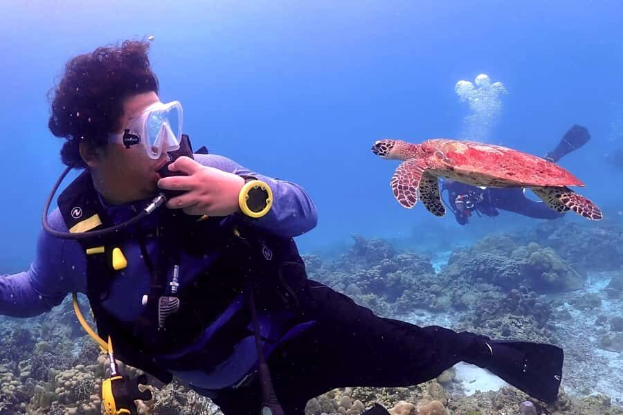 Phuket Scuba Diving Racha Islands 1-3 Dives For All Levels - What Is It Like to Snorkel and Dive at Racha?