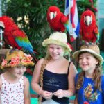 Phuket Sighseeing 6 Hrs. (Privet Car) - Who Will Love This Tour?