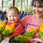 Phuket Sighseeing 6 Hrs. (Privet Car) - Good To Know