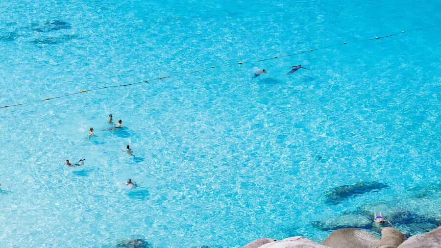 Phuket: Similan The Hidden Paradise Sea Tour - What Sets This Tour Apart?