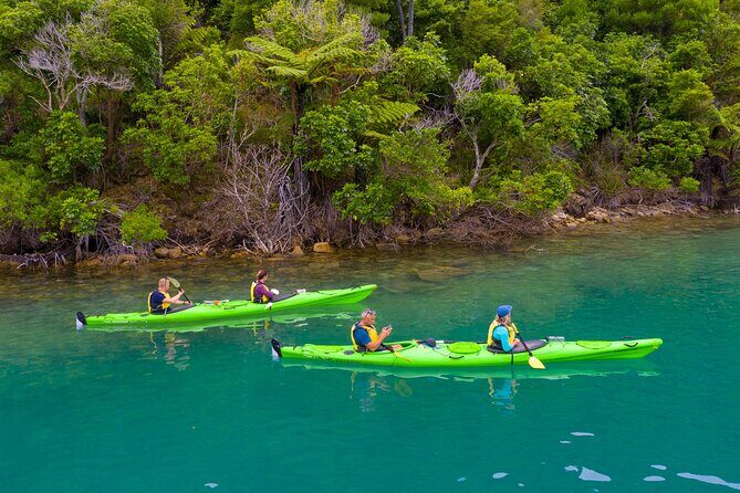 Picton Morning Guided Kayak with Afternoon Boat Cruise Tour - FAQ