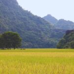 PiGo Ninh Binh E Bike Adventure - The Real Value of the PiGo E Bike Tour