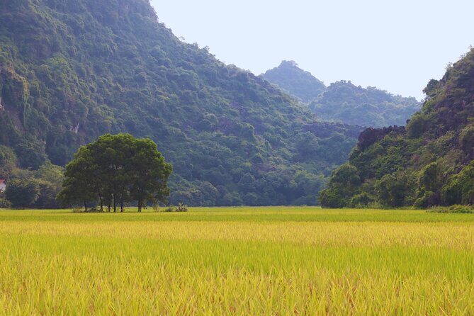 PiGo Ninh Binh E Bike Adventure - The Real Value of the PiGo E Bike Tour
