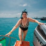 Pink Dolphin and Pig Island Snorkeling Tour from Koh Samui - The Itinerary Breakdown: What to Expect