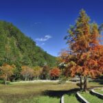 Pink Spring: Wuling Farm Cherry Blossom One-day Tour from Ximen - FAQs