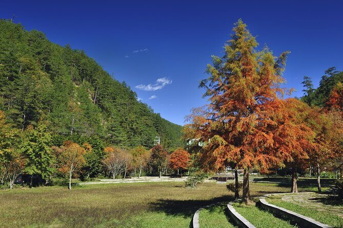 Pink Spring: Wuling Farm Cherry Blossom One-day Tour from Ximen - What’s Included and What to Keep in Mind