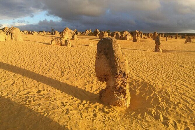 Pinnacles and Swan Valley Day Tour - Practical Considerations