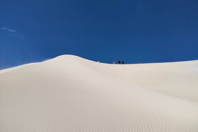 Pinnacles+Lancelin Sand Dune Impression Day Tour from Perth - Practical Aspects and What to Expect