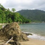 Pirate's Bay Day Trip with Lunch - Who Should Consider This Tour?