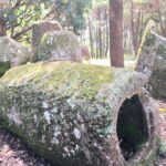 Plain of Jars Day Trip - Who is This Tour Best For?