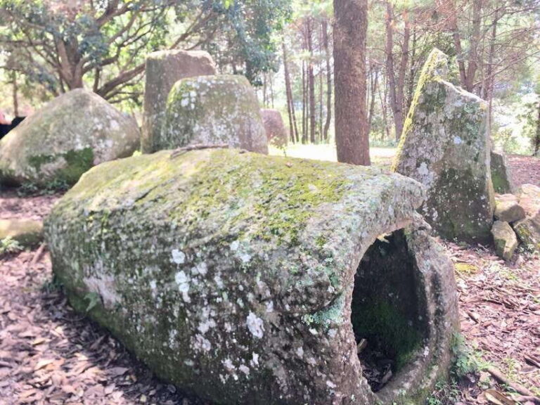 Plain of Jars Day Trip - Who is This Tour Best For?