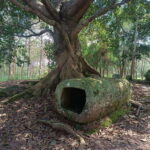 Plain of jars private tour - What’s Included and What to Expect