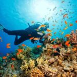 Playa Blanca: Scuba Diving Tour with Equipment - Final Thoughts