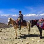 Pokhara: 1-Hour Horseback Ride with Hotel Pickup - Who Should Consider This Tour?