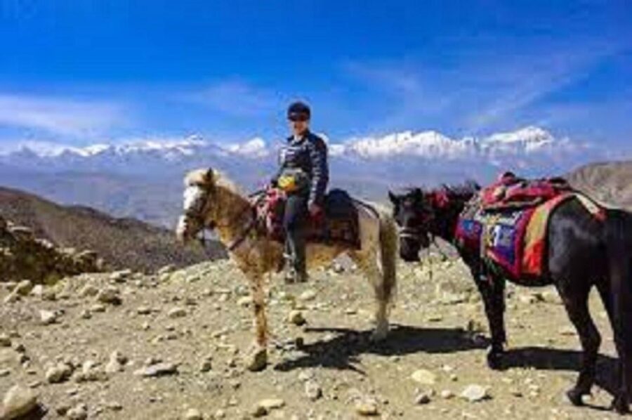 Pokhara: 1-Hour Horseback Ride with Hotel Pickup - Who Should Consider This Tour?