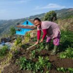 Pokhara: 2-Day Ghachok Village Tour with Homestay & Hike - Visiting the Local School: Education in the Countryside