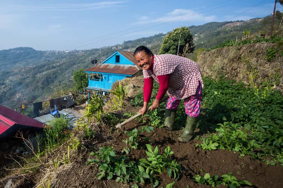 Pokhara: 2-Day Ghachok Village Tour with Homestay & Hike - Visiting the Local School: Education in the Countryside