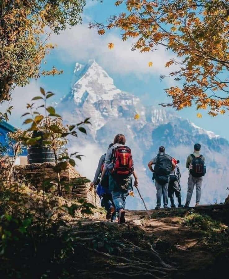Pokhara: 3-Day Mardi Himal Base Camp Private Trek - What Makes This Trek Stand Out?