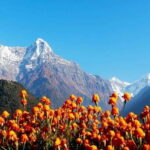 Pokhara: 4-Day Ghorepani, Poonhill & Ghandruk Mountain Trek - The Value of This Trek