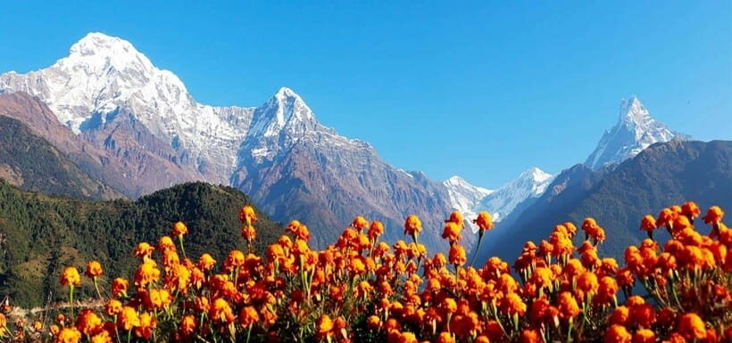 Pokhara: 4-Day Ghorepani, Poonhill & Ghandruk Mountain Trek - The Value of This Trek