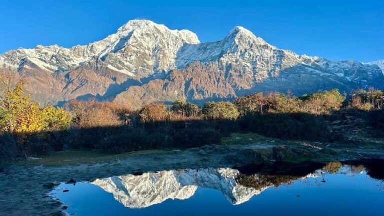 Pokhara: 4-Day Mesmerizing Mardi Himal Guided Trek - What to Expect from Your Guide and Support
