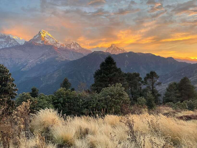 Pokhara: 4-Day Poon Hill and Ghandruk Guided Trek - The Trek Itinerary in Detail