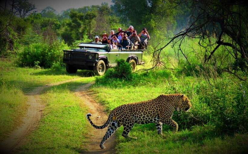 Pokhara: 5-Day Chitwan Wildlife & Lumbini Pilgrimage Tour - What Makes This Tour Stand Out?