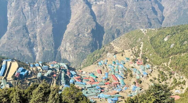 Pokhara: Annapurna Base Camp Trek & Wildlife Safari Tour - Day-by-Day Breakdown: What You Can Expect