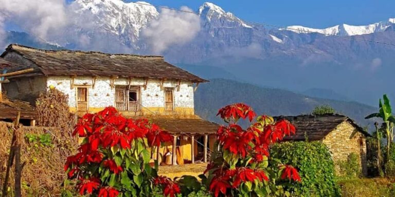 Pokhara: Day Hike to Australian Camp with Guide & Lunch - Detailed Review of the Pokhara Day Hike to Australian Camp