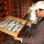 Pokhara: Full-Day Museum Tour with Snacks and Tea - Why This Tour Offers Great Value