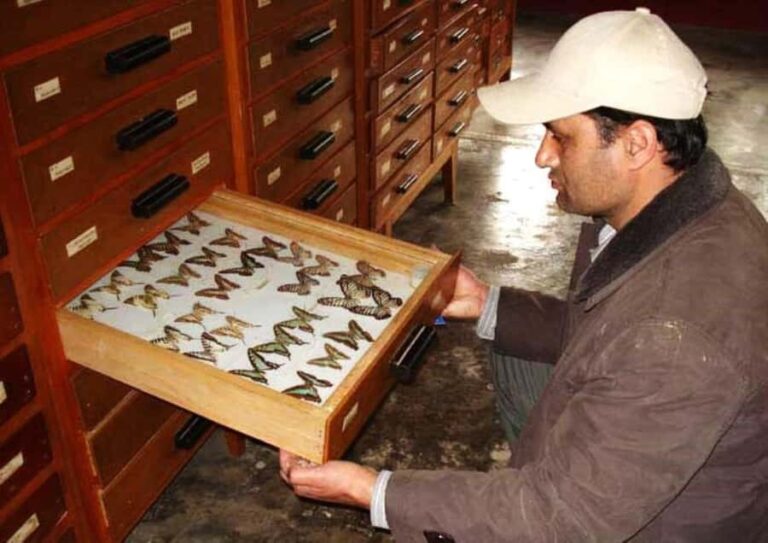 Pokhara: Full-Day Museum Tour with Snacks and Tea - Why This Tour Offers Great Value