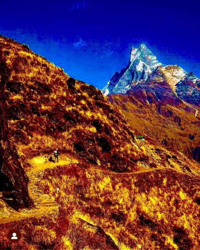 Pokhara: Mardi Himal Trek with 1 Night in a Forest Camp - Deep Dive into the Experience